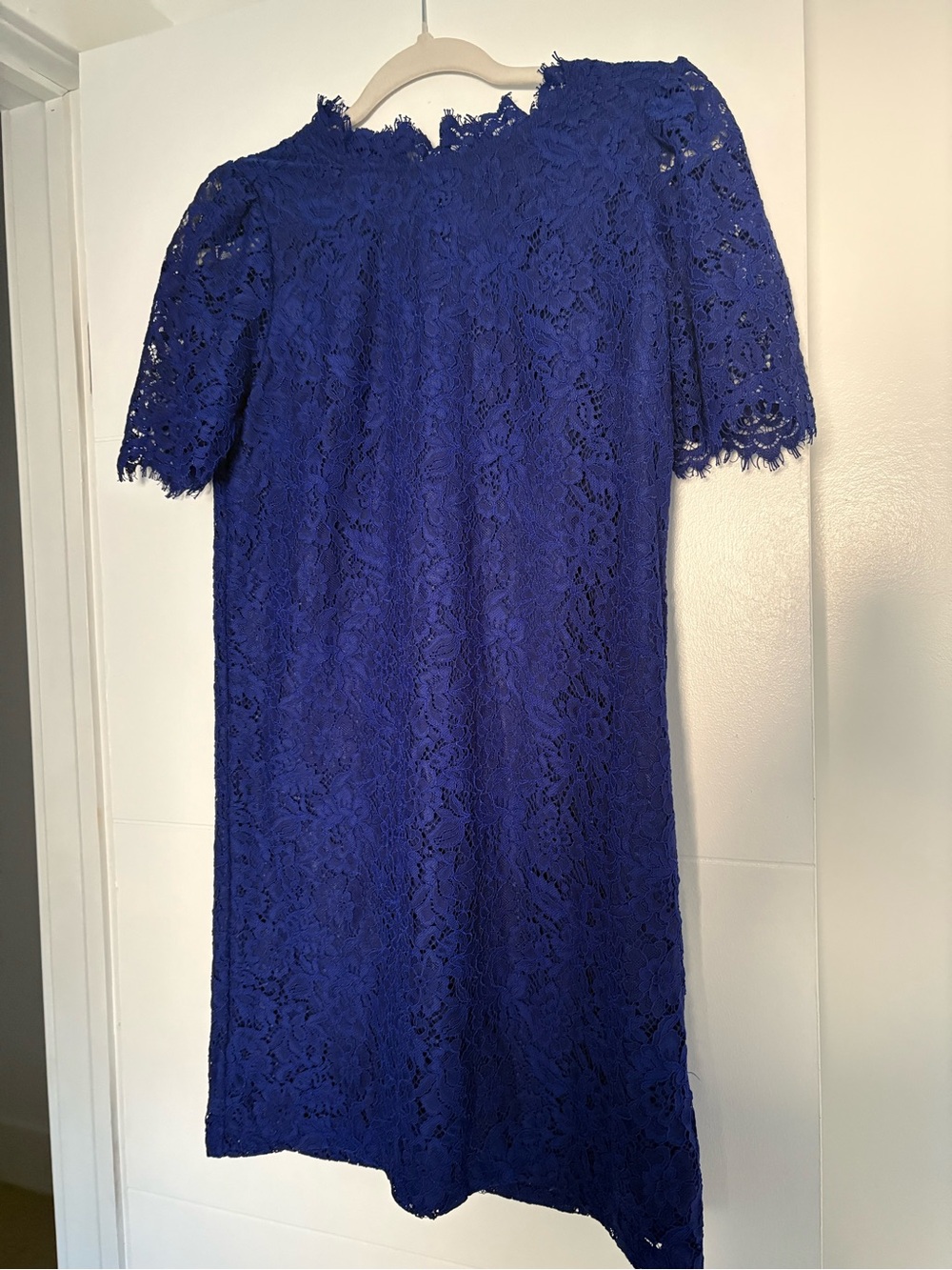 GAP Cobalt Lace Midi Dress - royal purple